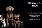 Milano. ALL ABOUT LIU JO PETS Lunedì 26 febbraio a Palazzo Visconti