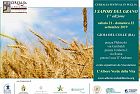 “I Sapori del Grano – I° edizione” per i giorni di sabato 21 e domenica 22 settembre 2019, in Gioia del Colle (BA).