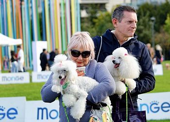 A Milano Cani e gatti in festa ai Giardini Indro Montanelli per la III ed della “Pet Flower Parade”
