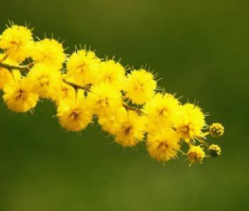 Aspettando l'8 marzo per festeggiare la donna