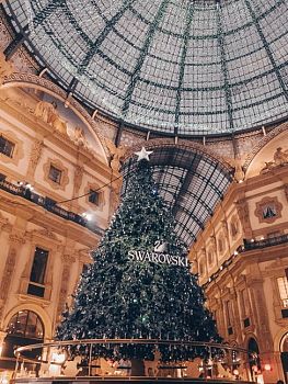 Milano. Acceso l'albero Swarovski in Galleria: il magico Natale inizia.