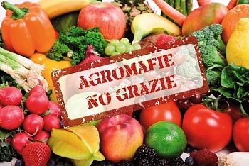 Agromafie: la filiera della criminalità in tavola.(da www.Lalinfa.it)