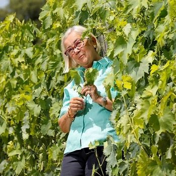Una nuova sfida per Donatella Cinelli Colombini