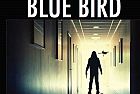 "BLUE BIRD" IL NUOVO ROMANZO DI FABIO BERNARDINI.