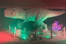 Animali preistorici in tour anche a Bologna "Dinosauri in città" dal 24/02 all'1/04/24 Area Ippodromo Bologna