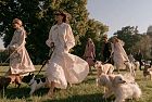 Quarta edizione di “Only For Pet Lovers”: 11 ottobre al Parco Sempione di Milano, grande festa per gli amici a quattro zampe