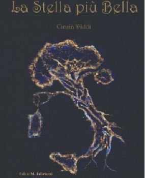 COVID-19: "La stella più bella" libro di Cinzia Diddi, per la solidarietà.