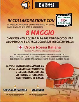 PET CARPET FILM FESTIVAL INSIEME A CROCE ROSSA ITALIANA AREA METROPOLITANA ROMA